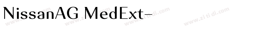 NissanAG MedExt字体转换